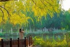 91麻豆精品国产91久久九色-国产精品呈现，解锁多样化的视觉盛宴