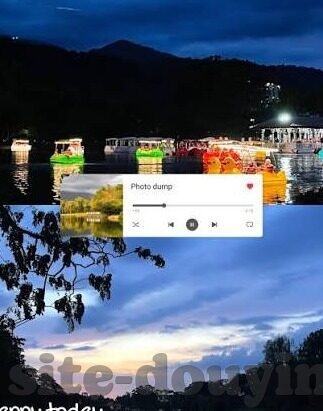 大象传媒合集-大象传媒合集，文化传播的巨象之舞