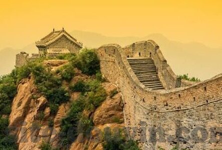 大象大象传媒app-探索大象大象传媒APP，数字时代的文化桥梁与创意平台