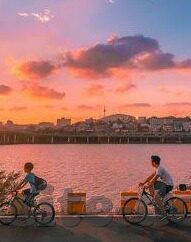 何苗果冻传媒图片-探索何苗果冻传媒图片的魅力与影响