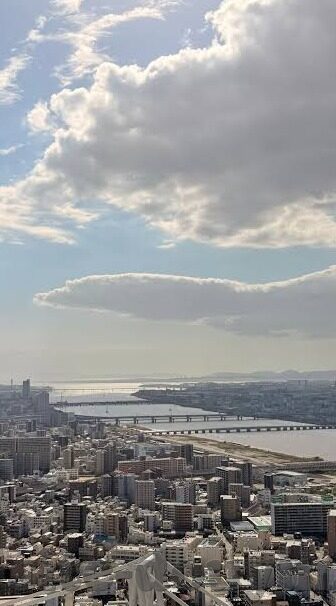 麻豆传媒app在哪下载-探索网络乐园，解锁麻豆传媒APP的下载奥秘