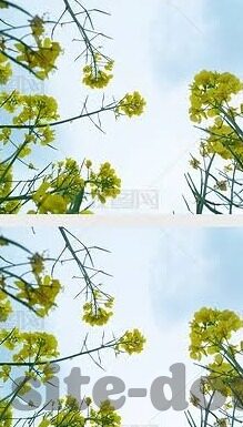 麻豆国产视频在线播放-