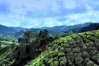 色情成人免费视频-探索成人内容消费的边界与影响